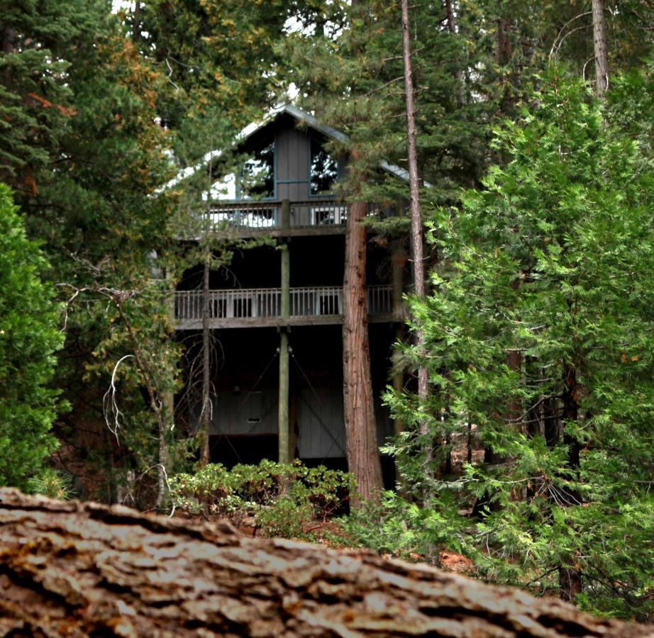 Tree House Lodge Yosemite West Εξωτερικό φωτογραφία