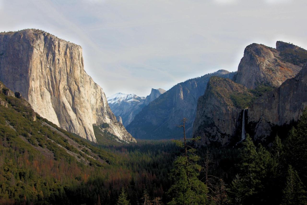 Tree House Lodge Yosemite West Εξωτερικό φωτογραφία